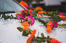 perfekte Kombi